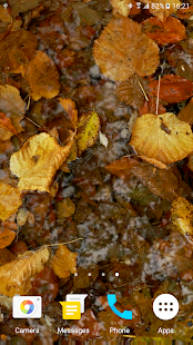 Autumn Video Live Wallpaper(圖7)-速報App
