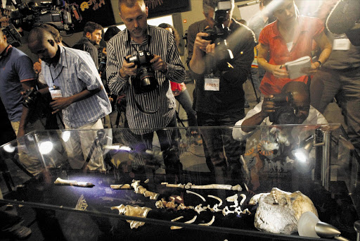 Fossils of a 2million-year-old Australopithecus sediba discovered at the Cradle of Humankind on display at the Origins Centre, at Wits University