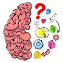 Brain Puzzle Games for Adults