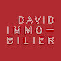 David Immobilier Montmartre-Abbesses