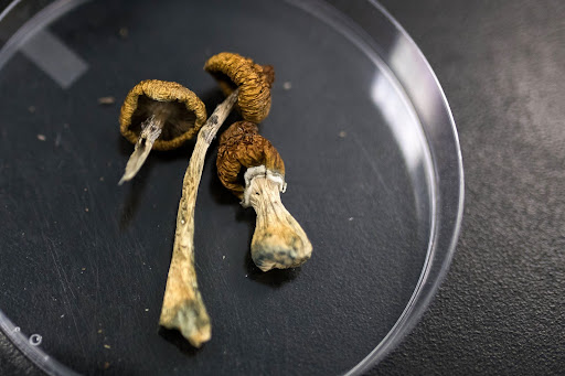 Antidepressants derived from magic mushrooms have the potential to help people with depression, but advocates shouldn’t outrun the science. Picture: BLOOMBERG