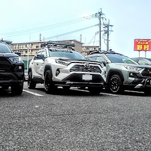 RAV4 MXAA54