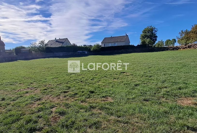  Vente Terrain à bâtir - 2 436m² à Coltines (15170) 