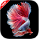 New Betta Fish Wallpaper icon