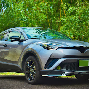 C-HR ZYX10