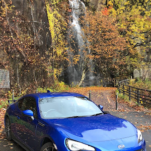 BRZ ZC6