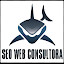 SEO WEB CONSULTORA