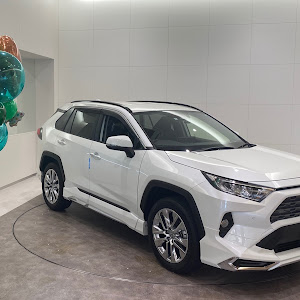 RAV4 MXAA52