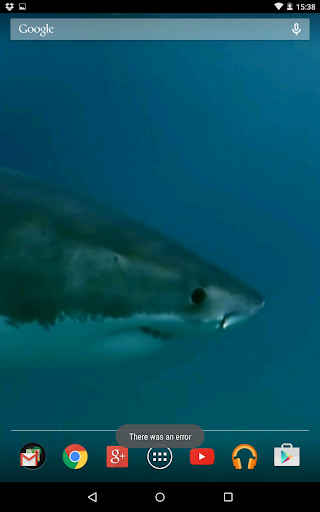 Shark video wallpaper