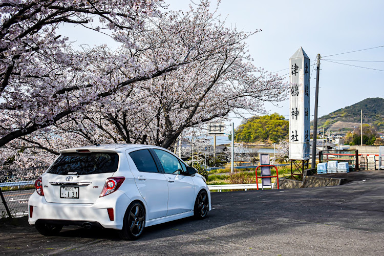ヴィッツの桜とコラボ・4月もよろしくお願い致します🌸・カメ活・VitzRS・ヴィッツに関するカスタム事例の投稿画像5枚目