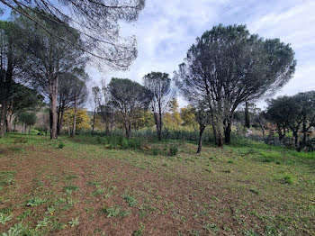 terrain à Grimaud (83)