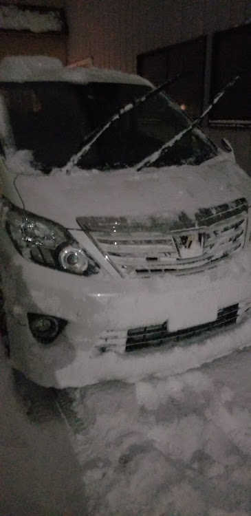 アルファードのモデリスタで雪掻き・大雪に関するカスタム事例の投稿画像2枚目