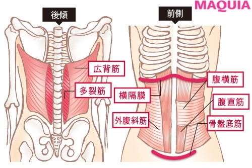 いきなり腹筋しちゃダメって本当 女性らしい腹筋を作る基本のq A Trill トリル