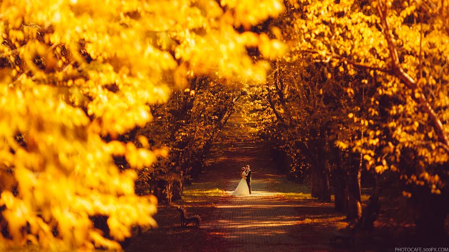 Wedding photographer Anton Kuznecov (photocafe). Photo of 5 October 2015