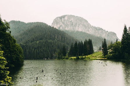 Svatební fotograf Octavian Stiopu (octawians). Fotografie z 2.července 2015