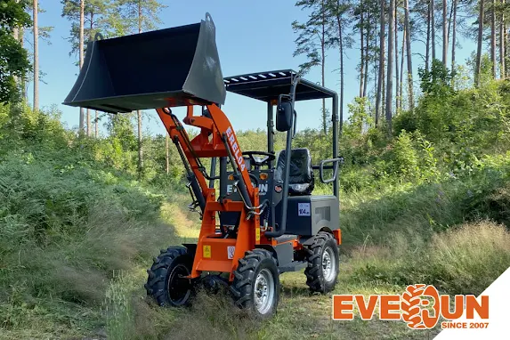 Everun EREL04 - Elektrisk lastmaskin