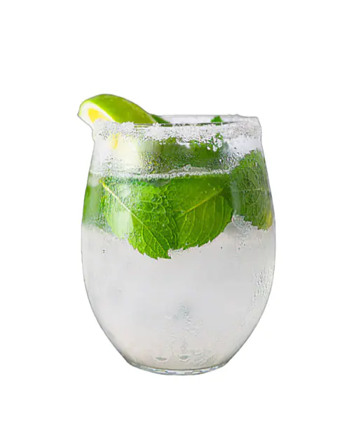 Salt Mint Lime Soda