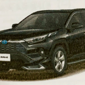 RAV4 AXAH54