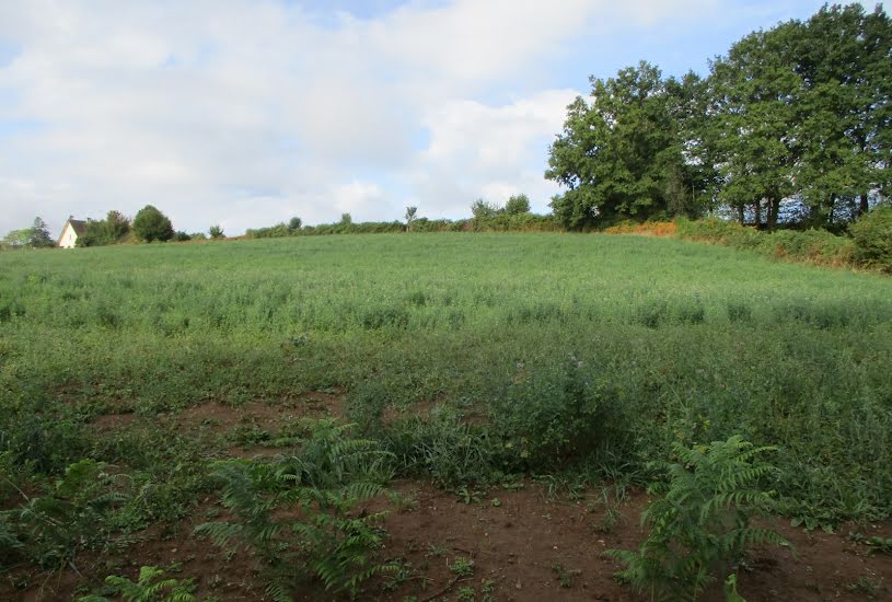  Vente Terrain à bâtir - 2 622m² à Châteauneuf-la-Forêt (87130) 