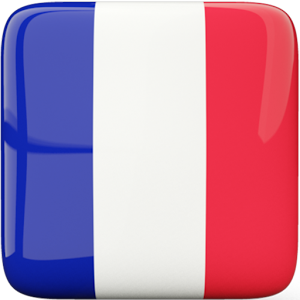 Download French Grammar For PC Windows and Mac