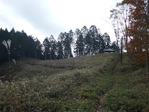 山頂直下