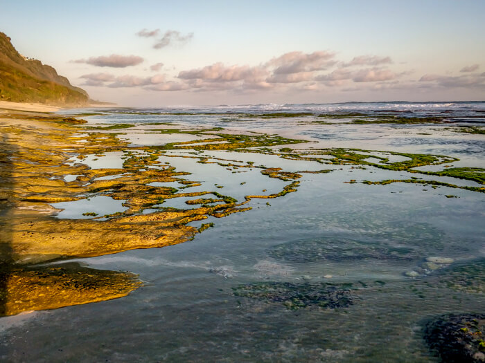 fringing reefs of nyang nyang beach