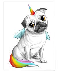 Image result for unicorn pug