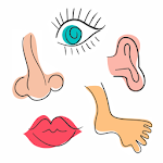 Cover Image of Download Body Parts Name for Kids 8.0 APK