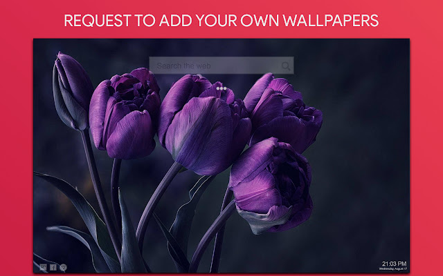 Purple Flower Wallpaper HD Custom New Tab