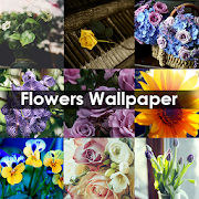 Flowers Wallpaper 4k  Icon