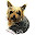 Silky Terrier Themes & New Tab