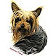 Silky Terrier Themes & New Tab