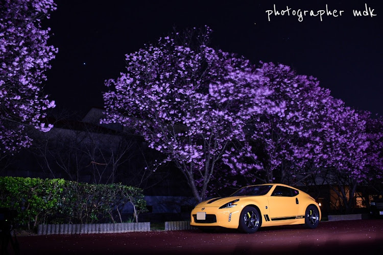 ライフの桜と愛車・ピックアップに選ばれたい・ピックアップチャレンジ✨・夜桜に関するカスタム事例の投稿画像6枚目