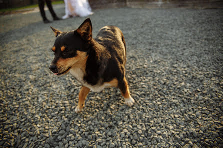 Fotógrafo de bodas Nadya Yamakaeva (listwed). Foto del 27 de enero 2018