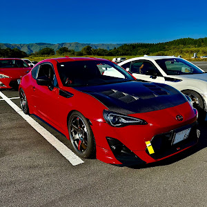 86 ZN6