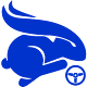 RabbitPilot Download on Windows