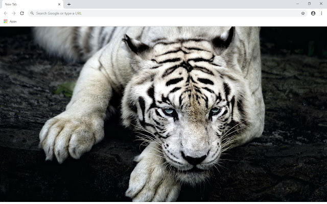 White Tiger Wallpapers and New Tab