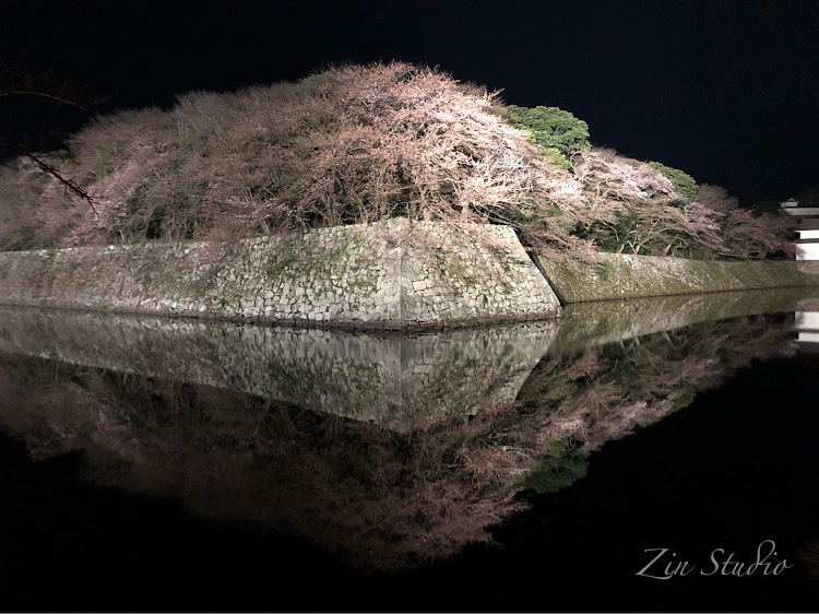 C-HRのたくさんのいいね&コメントありがとうございます🤗・早くみなさんとコラボした〜い📷・夜桜コラボに関するカスタム事例の投稿画像5枚目