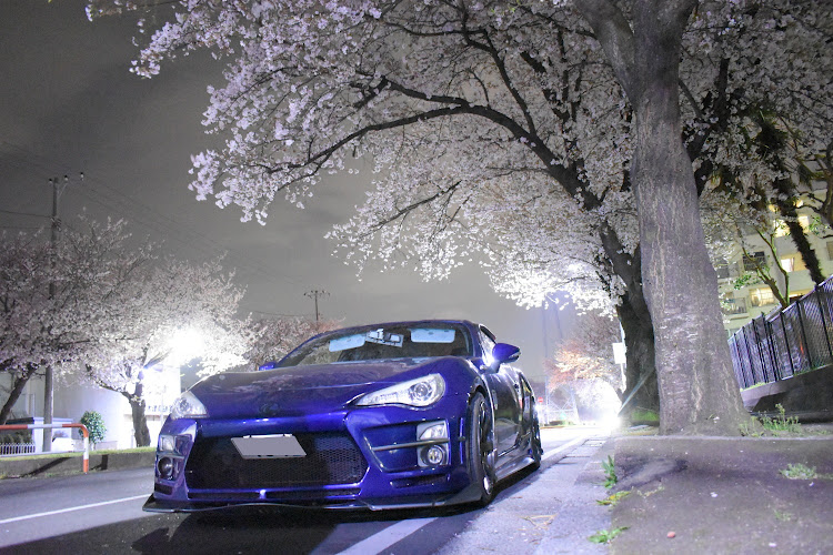 アルファードの夜桜🌸・フォロワーさんとコラボ・夜桜コラボ・一眼レフ撮影・ARIAに関するカスタム事例の投稿画像4枚目