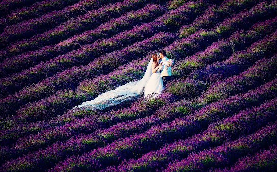 Fotógrafo de casamento Rita Szerdahelyi (szerdahelyirita). Foto de 13 de novembro 2017