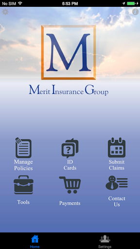 Merit Insurance Group