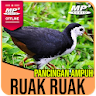 Suara Pemikat Ruak Ruak Ampuh icon