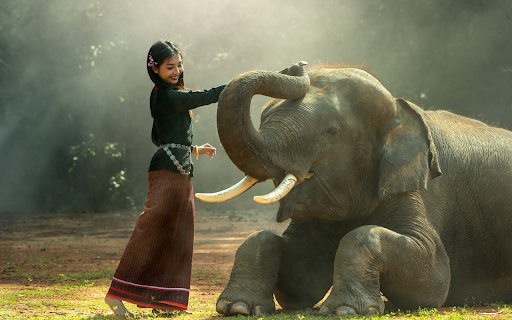 Girl and elephant