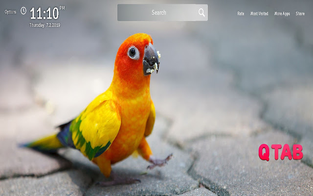 Parrot Wallpapers Theme Parrots New Tab