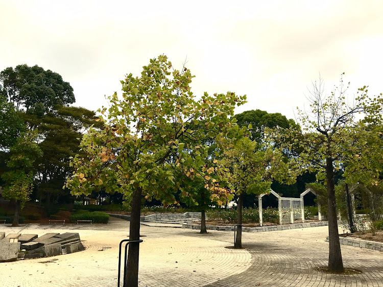 ランサーエボリューションの中央公園・大人のスポーツカー・LA VISTA・右斜め前写真展・秋の足音に関するカスタム事例の投稿画像4枚目