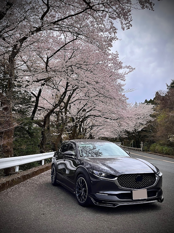 CX-30の桜とコラボ・富士山とコラボ・cx30ツーリングオフvol.5に関するカスタム事例の投稿画像5枚目