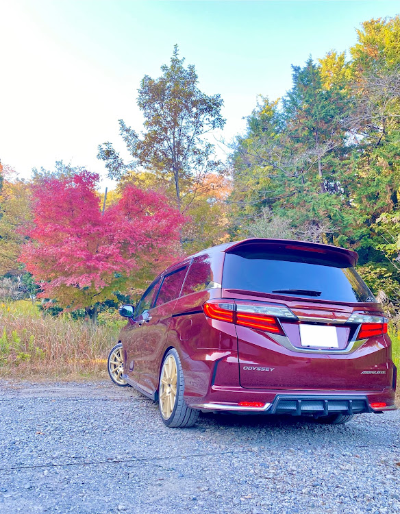 オデッセイの地元の紅葉シリーズ・城山湖下駐車場・モミジ🍁は有ったけど・・・・紅葉🍁とコラボ・日陰になってしまった・・・に関するカスタム事例の投稿画像6枚目
