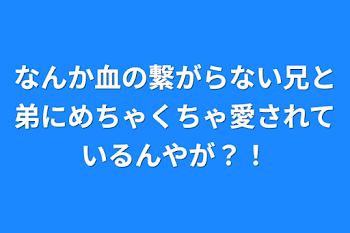 なんか血の繋がらない兄と弟にめちゃくちゃ愛されているんやが？！