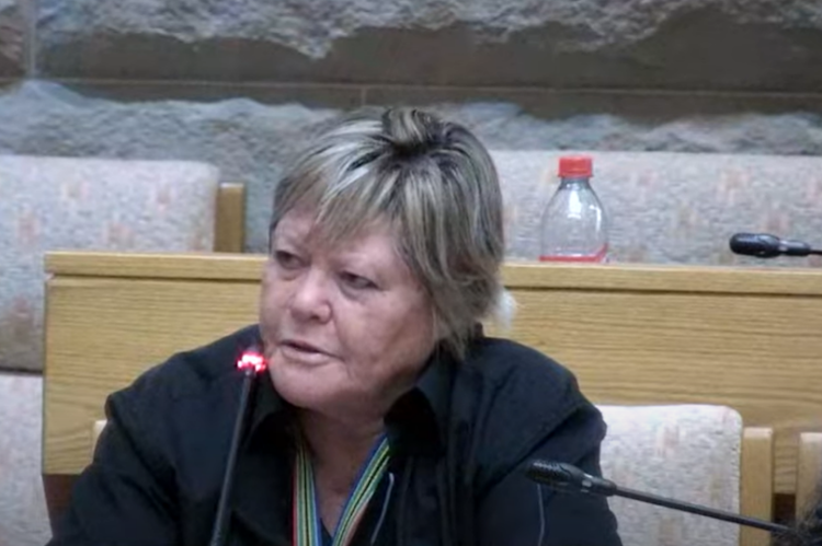 DA MP Glynnis Breytenbach's questioning drew sharp reactions online.