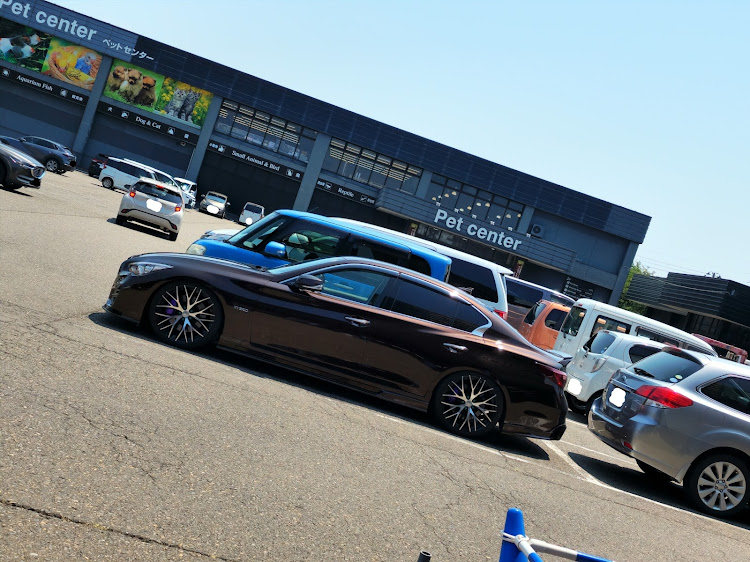 スカイラインのV37スカイライン・新潟県上越市・インペリアルアンバー・熱中症に気をつけて!!に関するカスタム事例の投稿画像2枚目